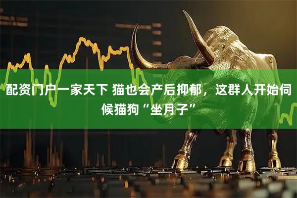 配资门户一家天下 猫也会产后抑郁，这群人开始伺候猫狗“坐月子”