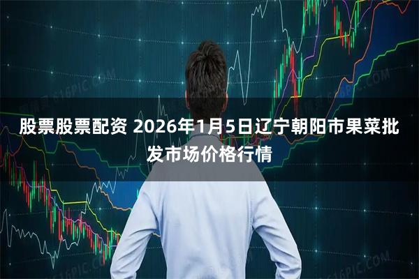 股票股票配资 2026年1月5日辽宁朝阳市果菜批发市场价格行情